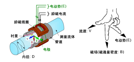 地下香蕉视频APP下载网站工作原理图